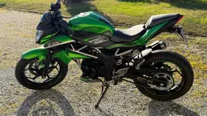 Kawasaki Z 125 (2019 - 20)  (2)
