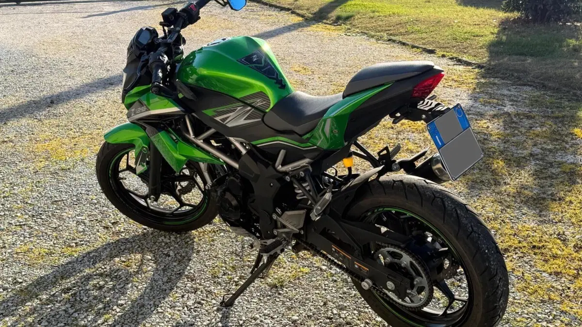 Kawasaki Z 125 (2019 - 20)  (3)