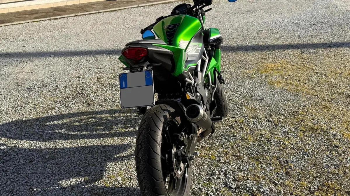 Kawasaki Z 125 (2019 - 20)  (4)