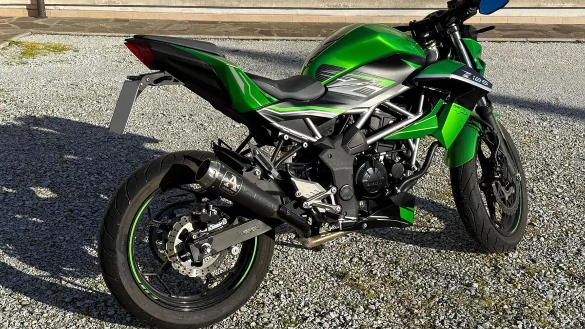 Kawasaki Z 125 (2019 - 20)  (5)