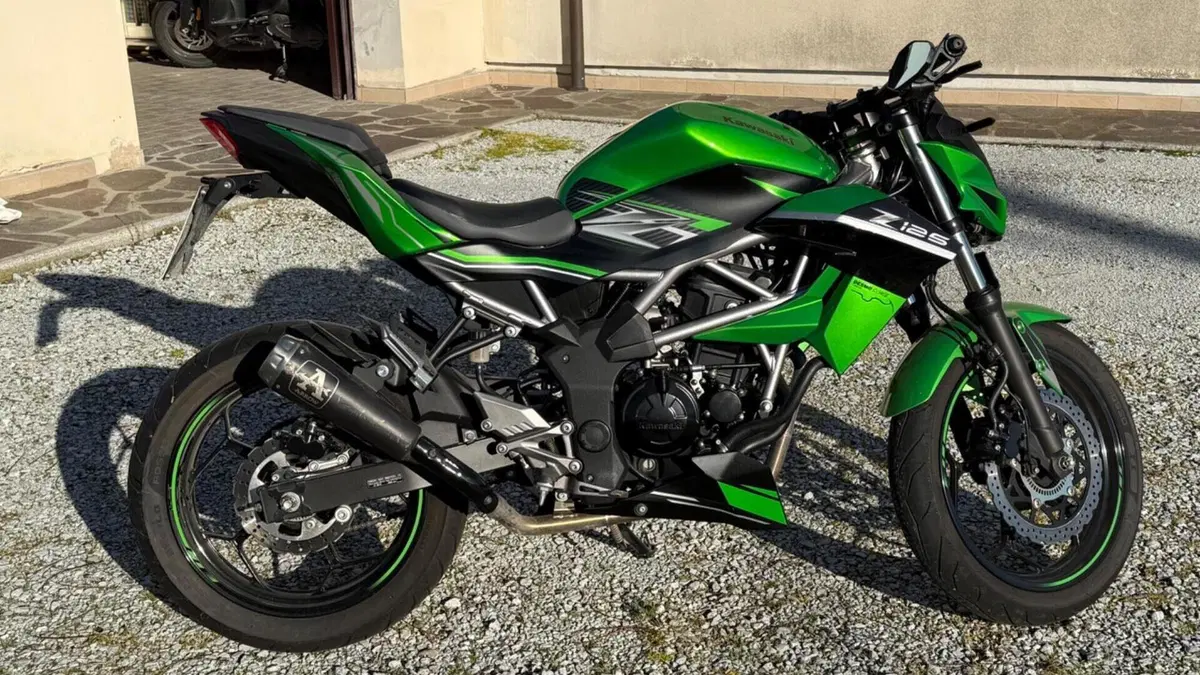 Kawasaki Z 125 (2019 - 20)  (6)
