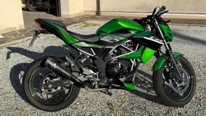 Kawasaki Z 125 (2019 - 20)  (6)