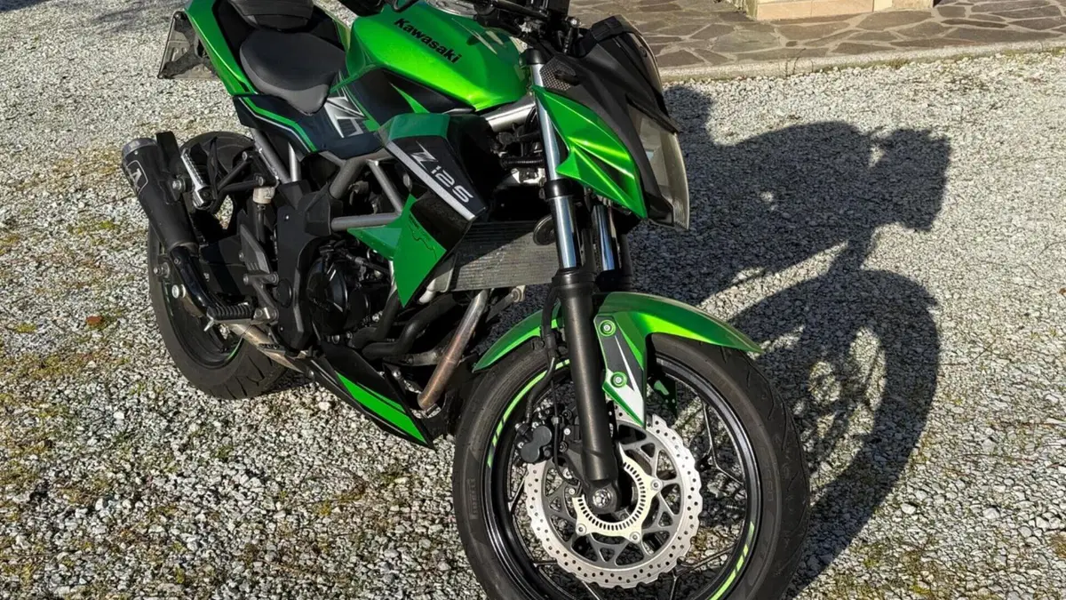 Kawasaki Z 125 (2019 - 20)  (7)