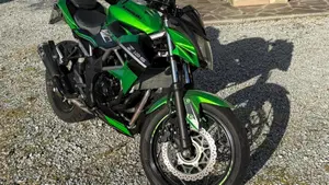 Kawasaki Z 125 (2019 - 20)  (7)