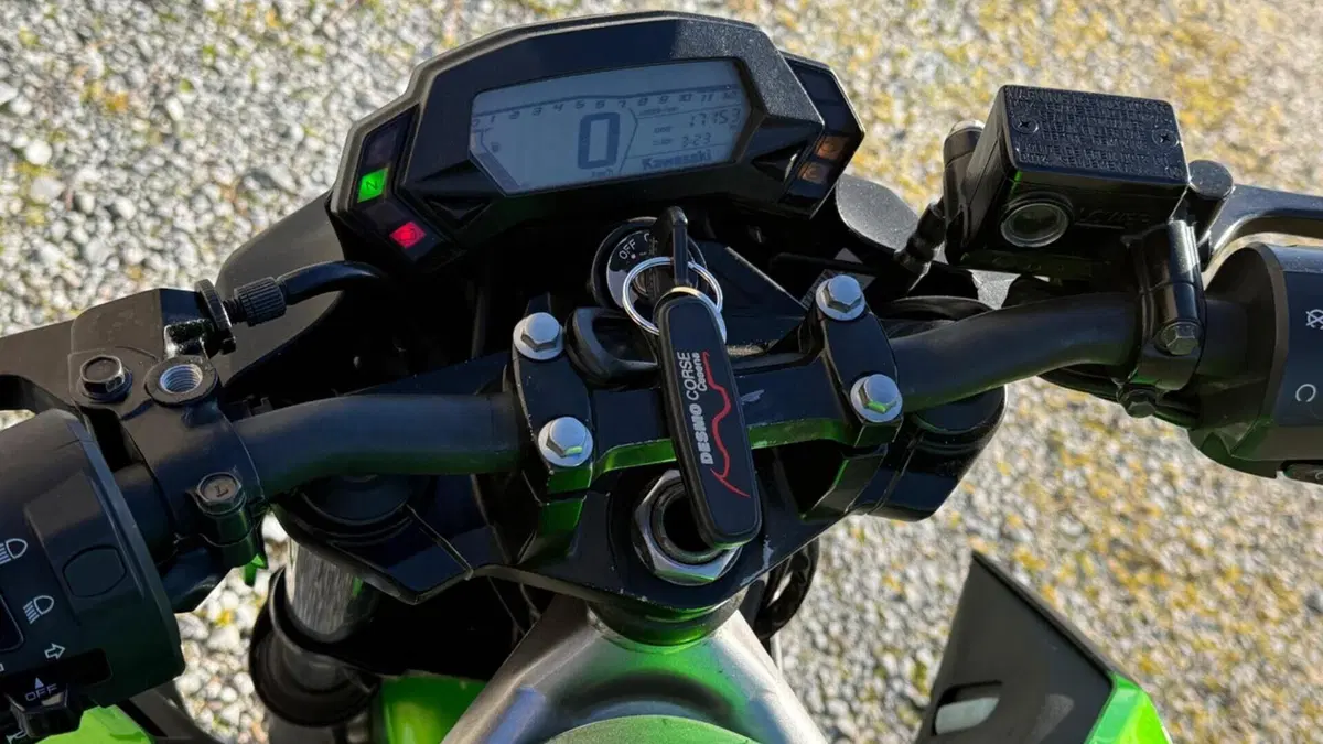 Kawasaki Z 125 (2019 - 20)  (8)