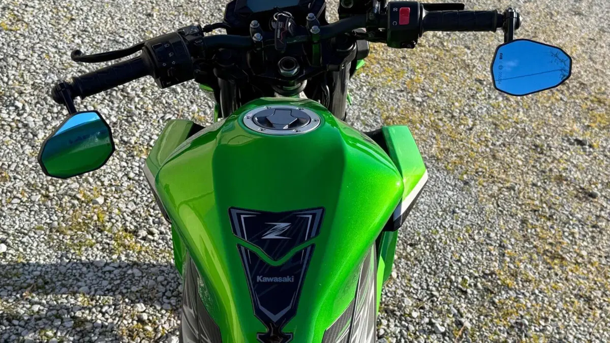 Kawasaki Z 125 (2019 - 20)  (9)