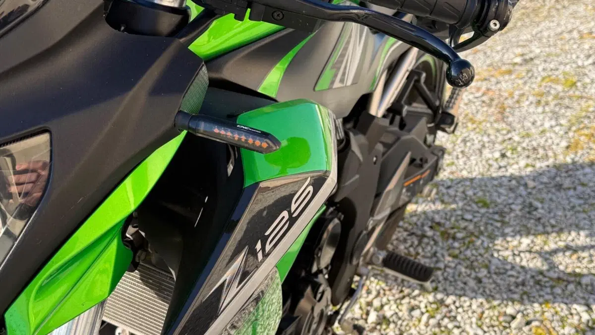 Kawasaki Z 125 (2019 - 20)  (10)