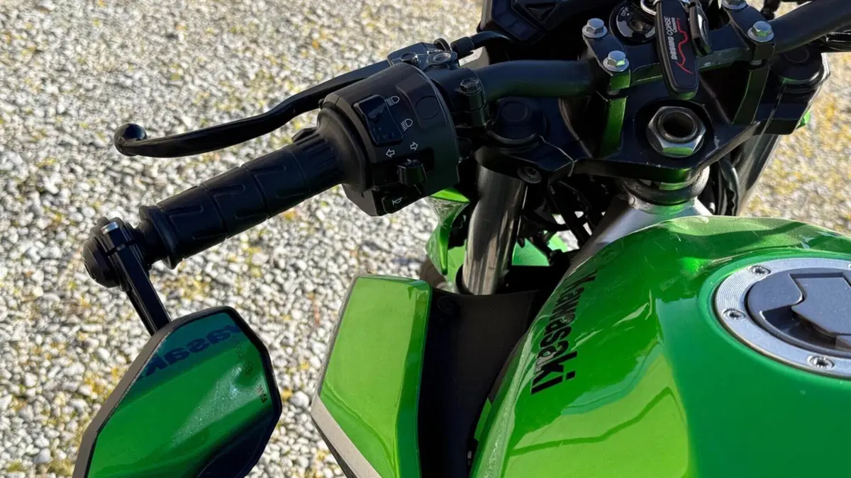 Kawasaki Z 125 (2019 - 20)  (11)