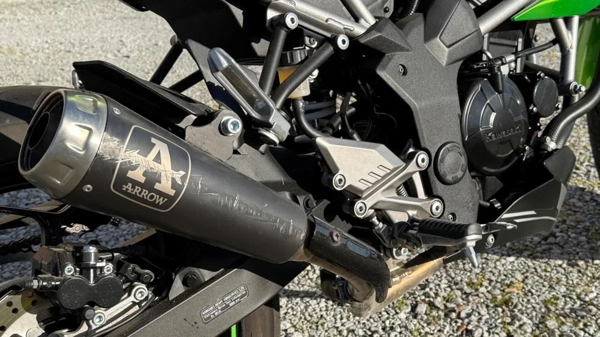 Kawasaki Z 125 (2019 - 20)  (12)