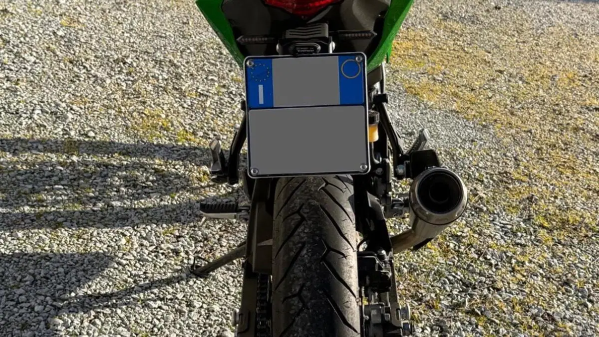 Kawasaki Z 125 (2019 - 20)  (13)