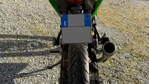Kawasaki Z 125 (2019 - 20)  (13)