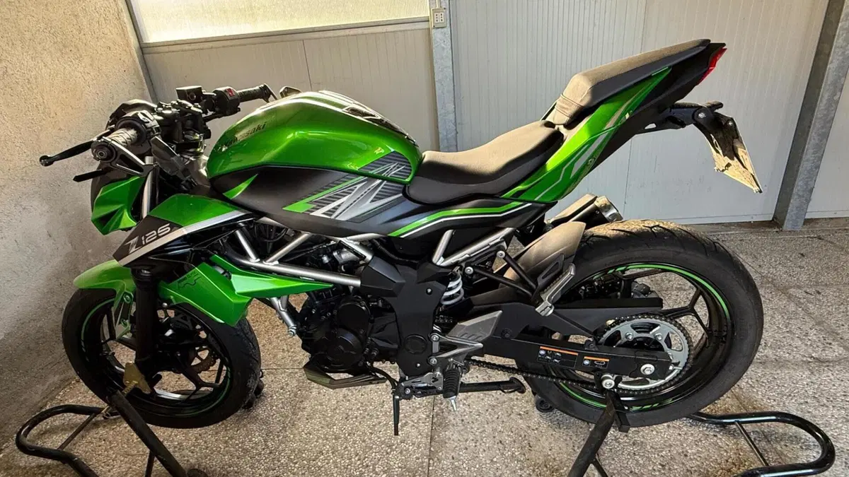 Kawasaki Z 125 (2019 - 20)  (14)