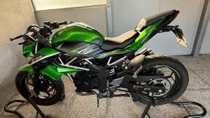 Kawasaki Z 125 (2019 - 20)  (14)
