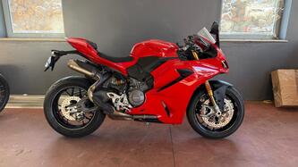 Ducati Panigale V2 (2025 - 26) usata