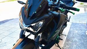 Kawasaki Z 300 ABS (2015 - 16) 