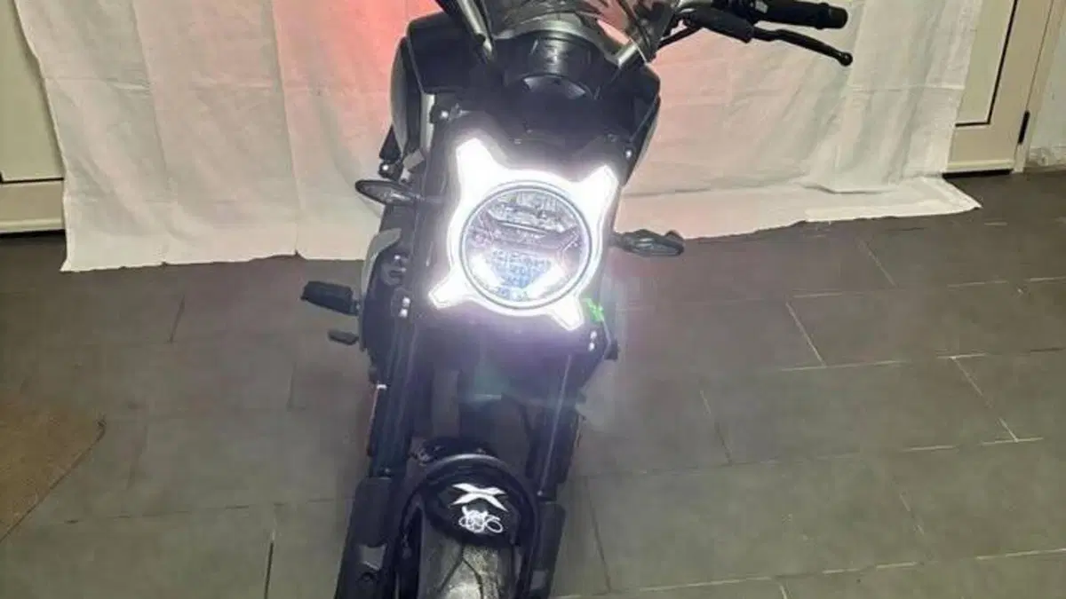 CFMOTO 300CL-X Heritage (2023 - 26)  (4)