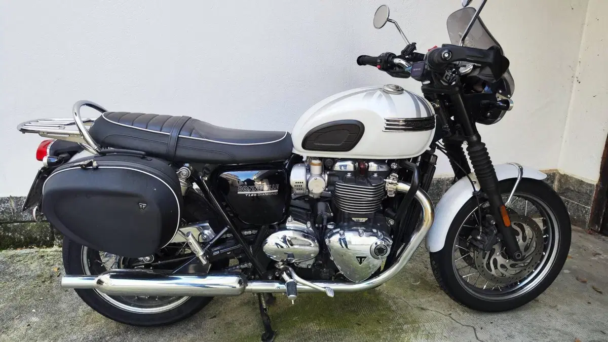 Triumph Bonneville T120 Diamond Edition (2019)  (3)