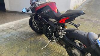 MV Agusta Dragster 800 RR (2015 - 17) usata