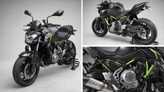 Kawasaki Z 650 (2017 - 19) usata