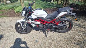 Benelli BN 125 (2021 - 25) 