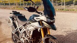 Triumph Tiger 900 Rally Pro (2020 - 23) 