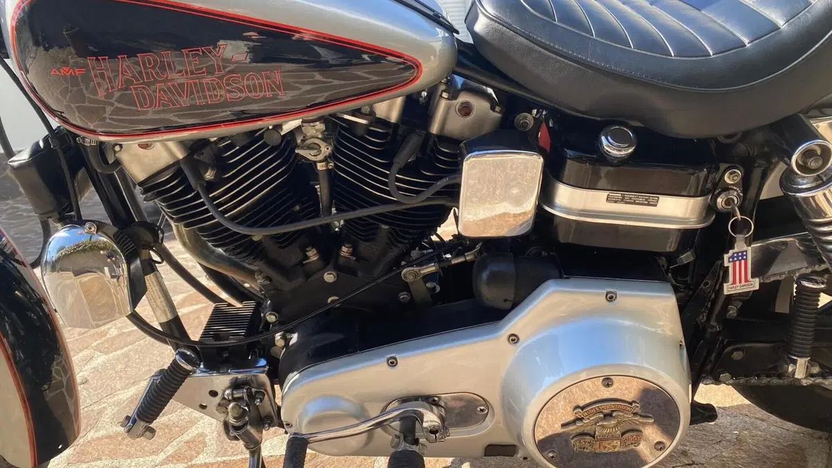 Harley-Davidson   (5)