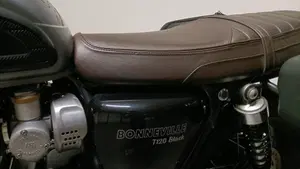 Triumph Bonneville T120 Black (2021 - 25)  (7)