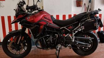Triumph Tiger 900 GT Pro (2024 - 26) usata