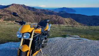 Triumph Street Triple (2007 - 12) usata