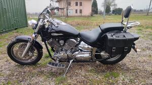 Yamaha XVS 1100 Drag Star (1999 - 06) 