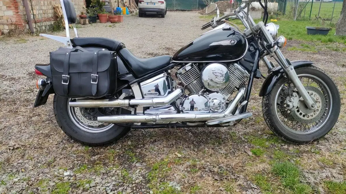 Yamaha XVS 1100 Drag Star (1999 - 06)  (8)