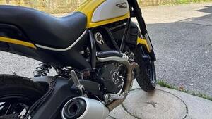 Ducati Scrambler 800 Icon (2017 - 20) 