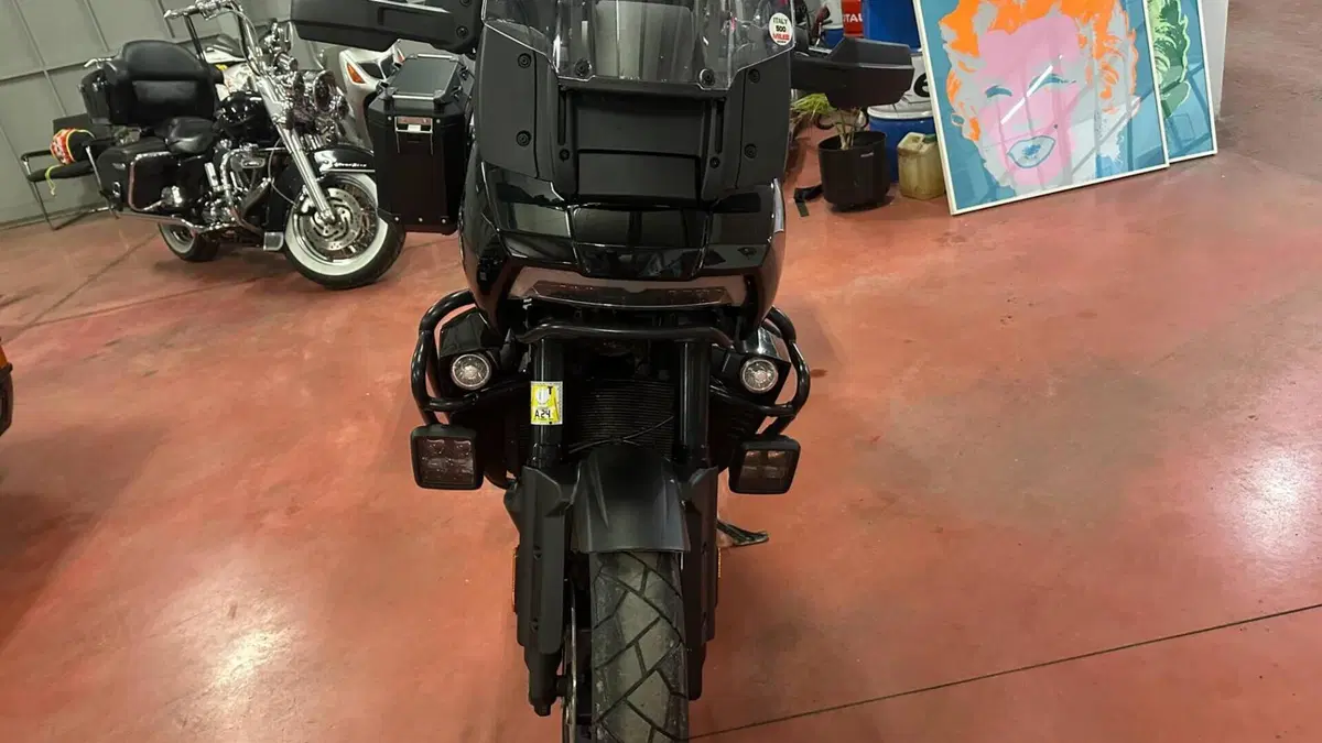 Harley-Davidson Pan America 1250 (2020 - 25)  (9)