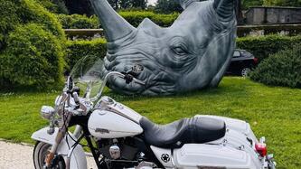 Harley-Davidson 103 Road King Classic (2011 - 13) - FLHRC usata