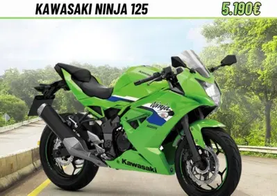 Kawasaki Ninja 125 (2025 - 26) - Annuncio 9948067