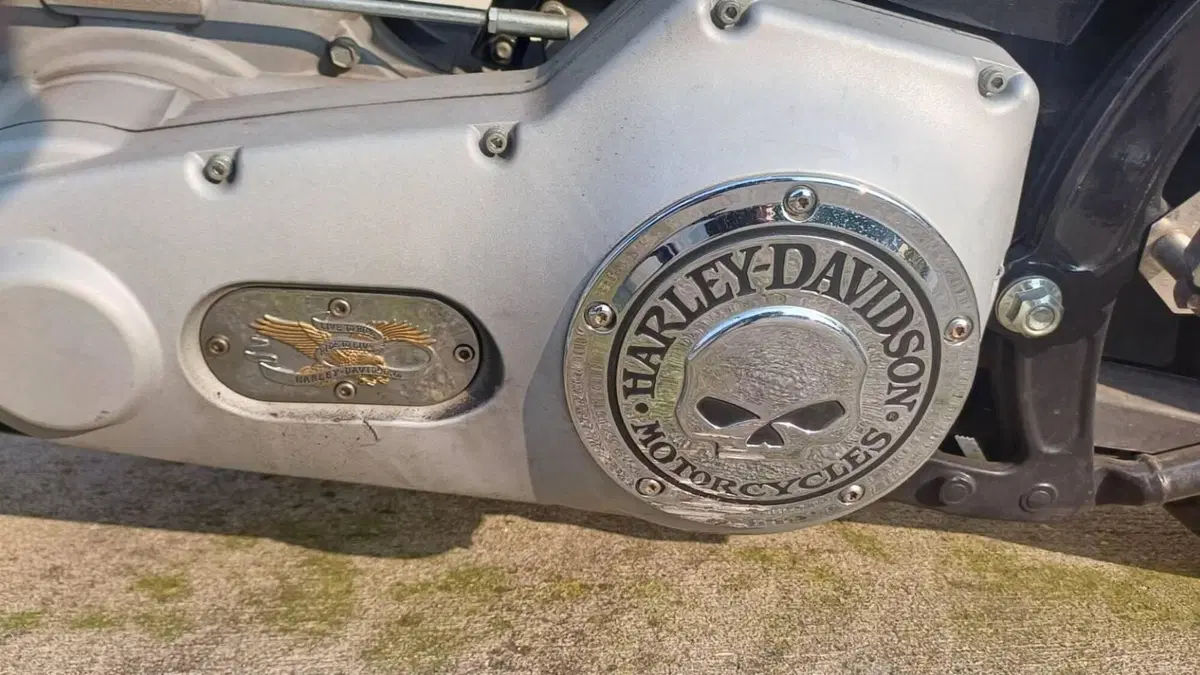 Harley-Davidson 1450 Standard (2002 - 05) - FXSTI  (8)
