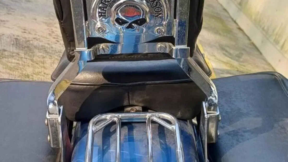 Harley-Davidson 1450 Standard (2002 - 05) - FXSTI  (10)