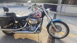 Harley-Davidson 1450 Standard (2002 - 05) - FXSTI  (3)