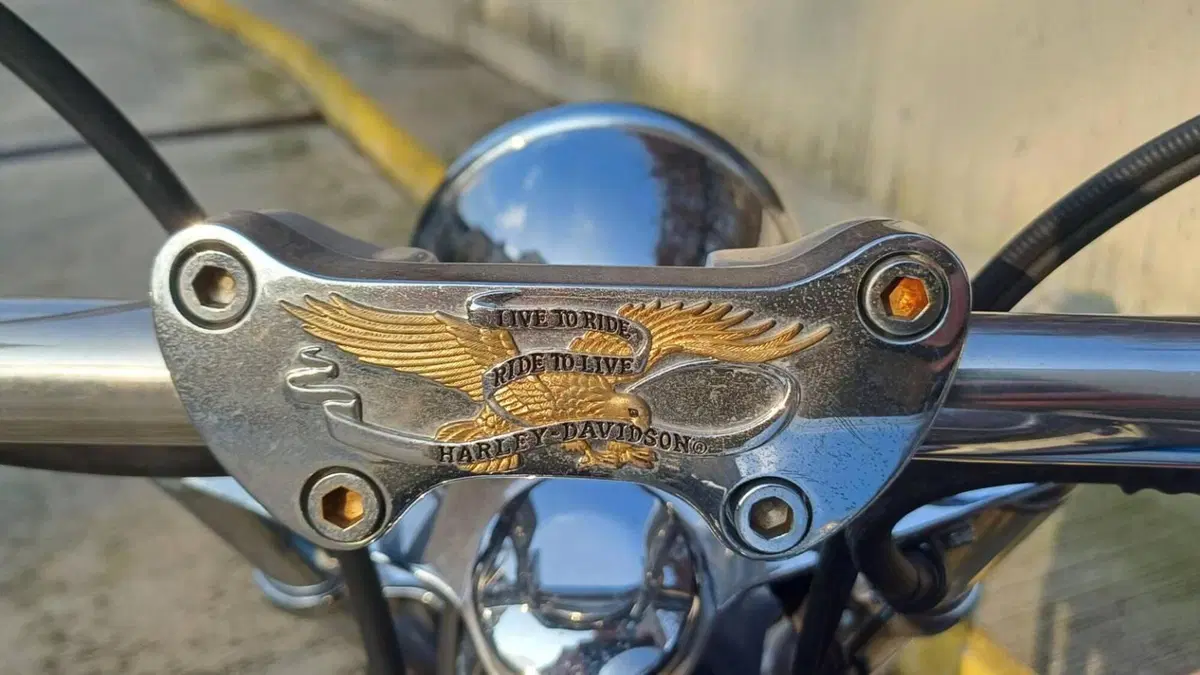 Harley-Davidson 1450 Standard (2002 - 05) - FXSTI  (11)