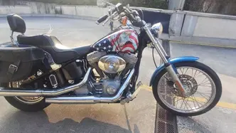 Harley-Davidson 1450 Standard (2002 - 05) - FXSTI usata