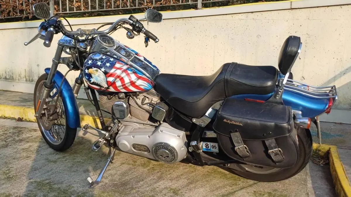 Harley-Davidson 1450 Standard (2002 - 05) - FXSTI  (2)
