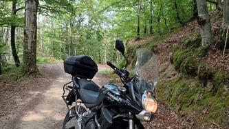 Kawasaki Versys 650 (2010 - 13) usata