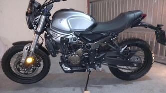 Voge Trofeo 300AC (2021 - 26) usata