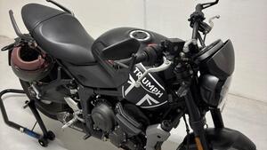 Triumph Trident 660 (2021 - 24) 