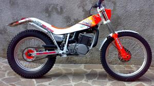 Fantic Motor Trial 300 / 305 