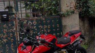 Ducati Streetfighter V2 (2025 - 26) usata