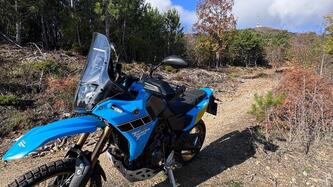 Yamaha Ténéré 700 World Rally (2023 - 25) usata