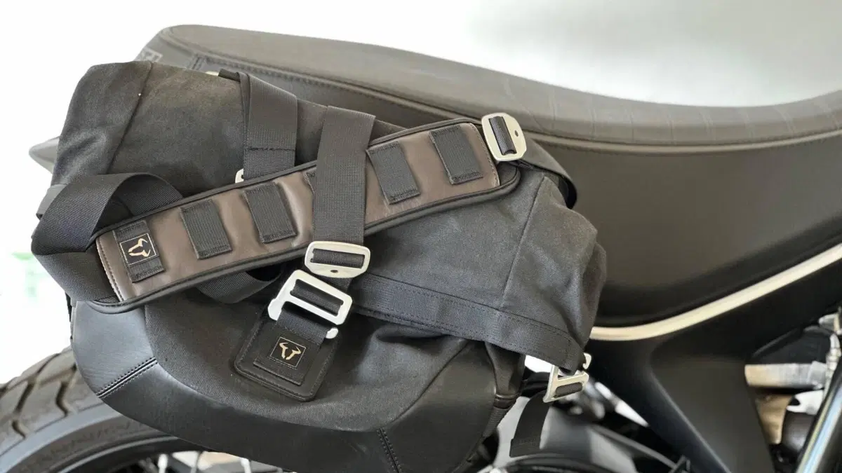 Ducati Scrambler 800 Icon Dark (2021 - 22)  (4)