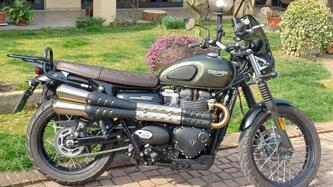 Triumph Street Scrambler 900 (2021 - 22) usata