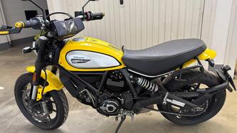 Ducati Scrambler 800 Icon (2017 - 20) usata